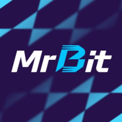 Mr Bit Career