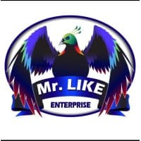 Mr. Like Enterprise
