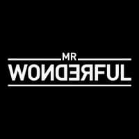 MR WONDERFUL
