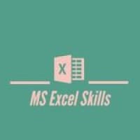 MS Excel Skills