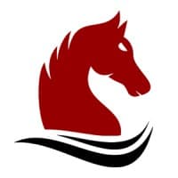 Mustang Capital