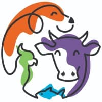 Dokvet Pvt Ltd