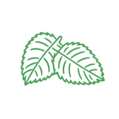 Mintwell