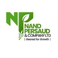 Nand Persaud Group