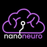 Nanoneuro Systems