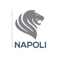 Napoli Consultoria Empresarial