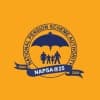national pension scheme authority