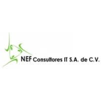NEF CONSULTORES IT