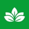 Nelumbo Consultores