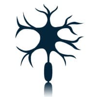 NerView Surgical
