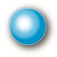 Neuroplast