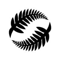 new zealand football