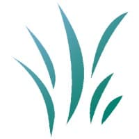 Nexecon Consulting Group