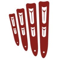 nisga'a data systems, llc