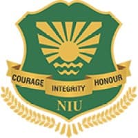 Noida International University