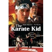 Northwestern Karate Schools