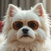 nullberry.org