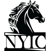 nyic - new york international capital
