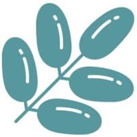 Oasis Center for Interventional Psychiatry, Inc.