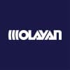 olayan financing company