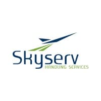 skyserv handling services