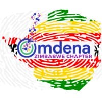 Omdena Zimbabwe Chapter