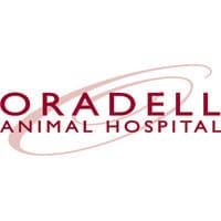 oradell animal hospital