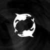 Orca