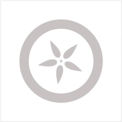 Orchard Therapeutics - U.S.