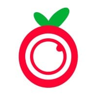 Orchard
