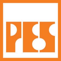 Pakistan Engineering Services (Pvt.) Ltd