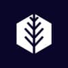 Paradigm Evergreen Inc.