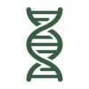 Pattern Naturopathic