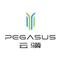 Pegasus Technology Holdings, Inc.