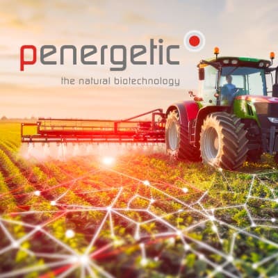 Penergetic International AG