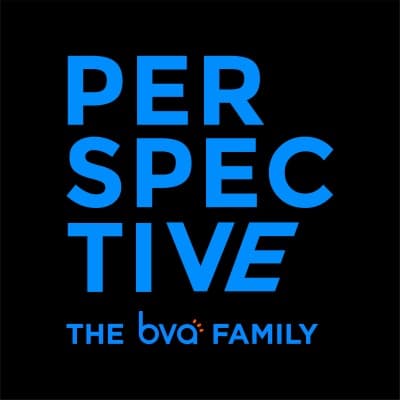 perspective research services
