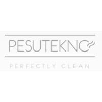 Pesutekno Oy