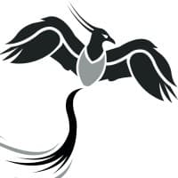 Pheanix Aangifte Online