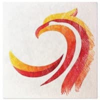 Phoenix Aerospace