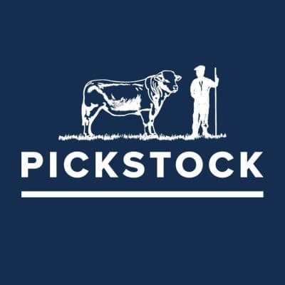 pickstock telford limited