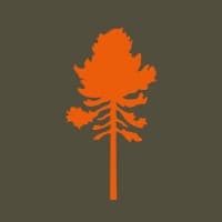Pinewood