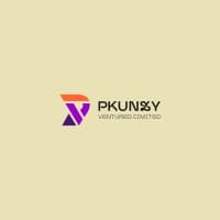 Pkunzy Ventures Limited