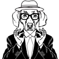 Pointer