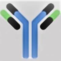 Precision Biologics, Inc.