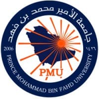 prince mohamad university
