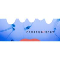 Proexcellency solutions pvt ltd