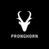 Pronghorn