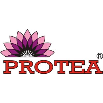 Protea