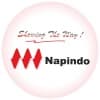 PT. Napindo Media Ashatama