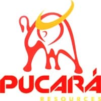 Pucara Resources Corp.